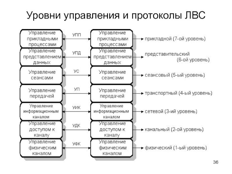 Управление протокола. Протоколы передачи данных в ЛВС. Уровни защиты данных предусмотренные в ЛВС. Уровни компьютерных сетей и их протоколы. Транспортные протоколы ЛВС.