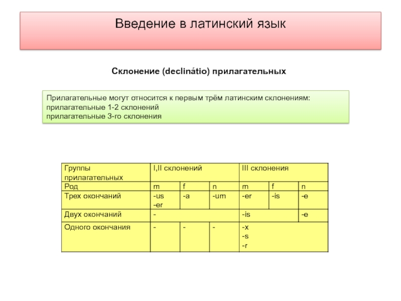 Интересные факты о латинском языке презентация