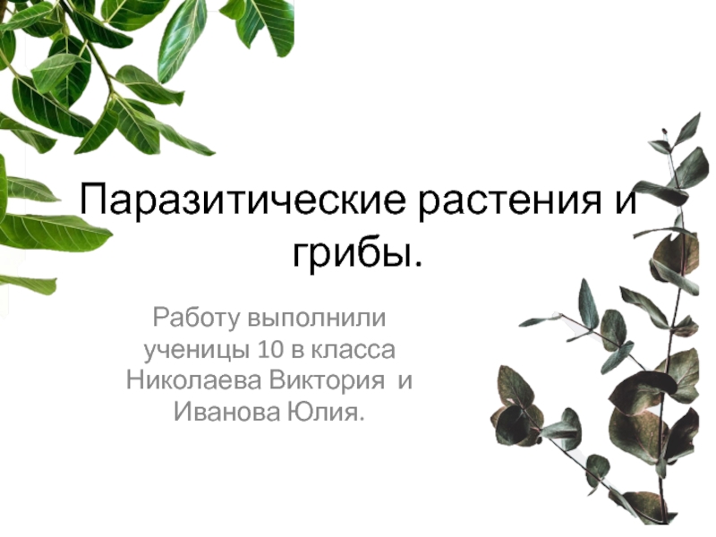 Паразитические растения и грибы