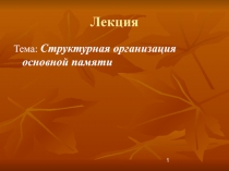 Структурная организация основной памяти 