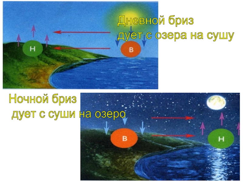 Схема бриза дневного и ночного