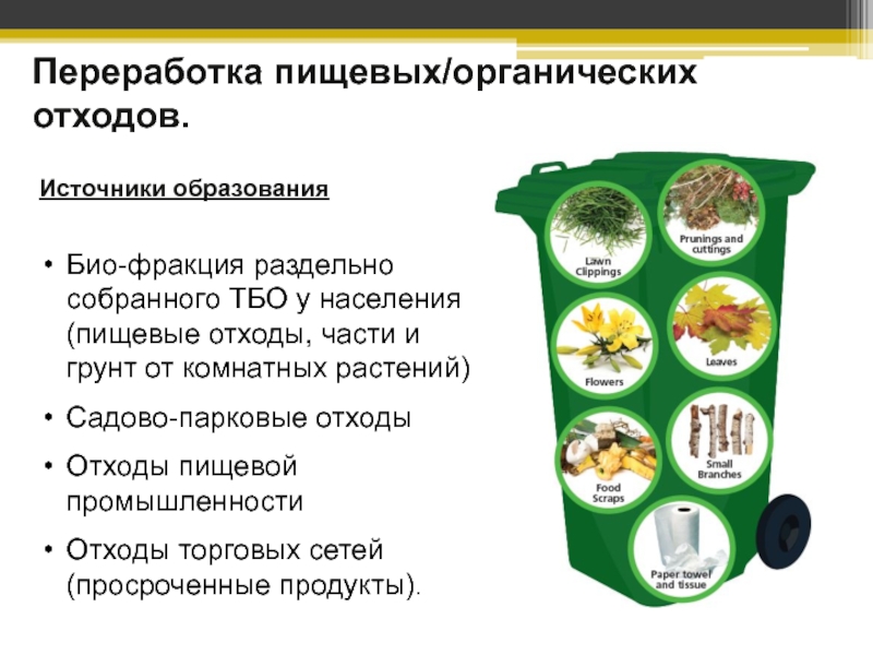 Переработка пищевых / органических отходов.
Источники образования
Био-фракция