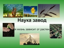 Наука завод