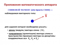 Спин
