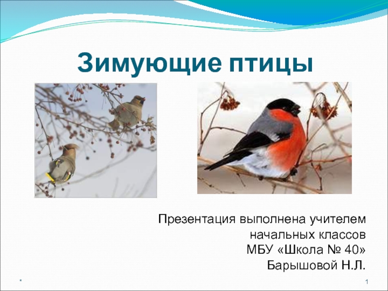 Зимующие птицы начальные классы