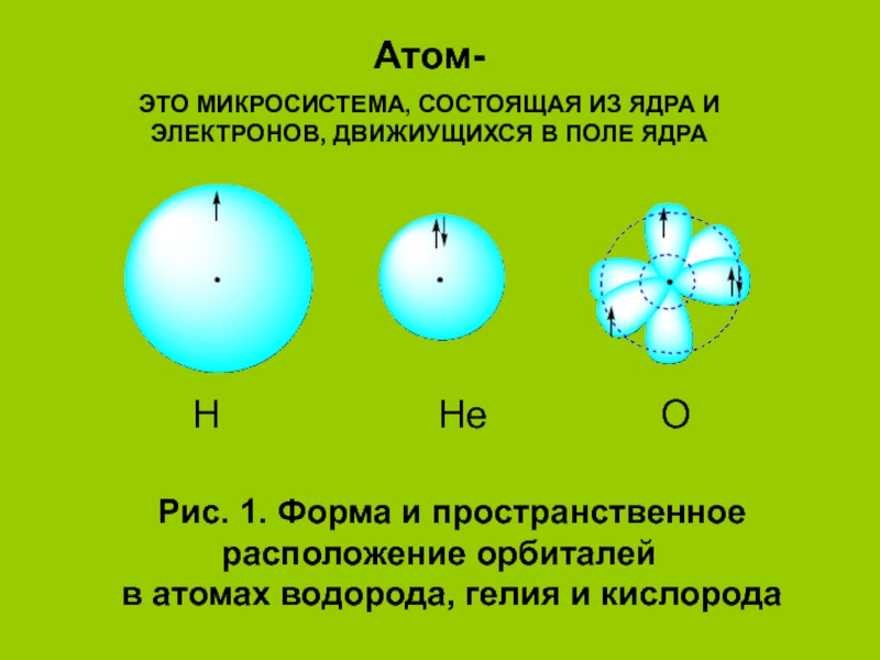 Рис. 1. Форма и пространственное расположение орбиталей
в атомах водорода,