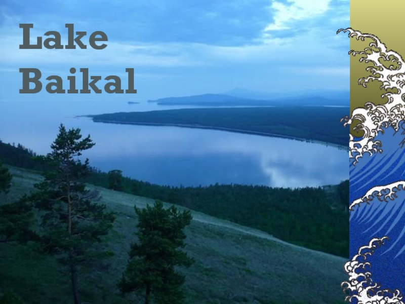 Презентация Lake Baikal