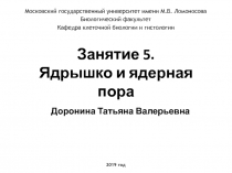 Занятие 5. Ядрышко и ядерная пора