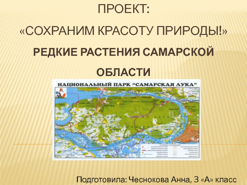 Презентация  Редкие растения Самарской области