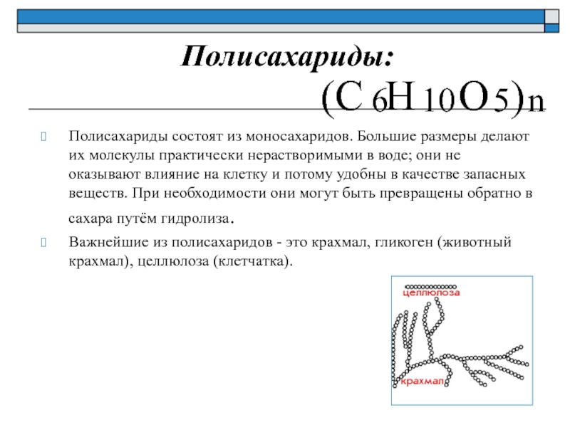 Полисахарид 7 букв