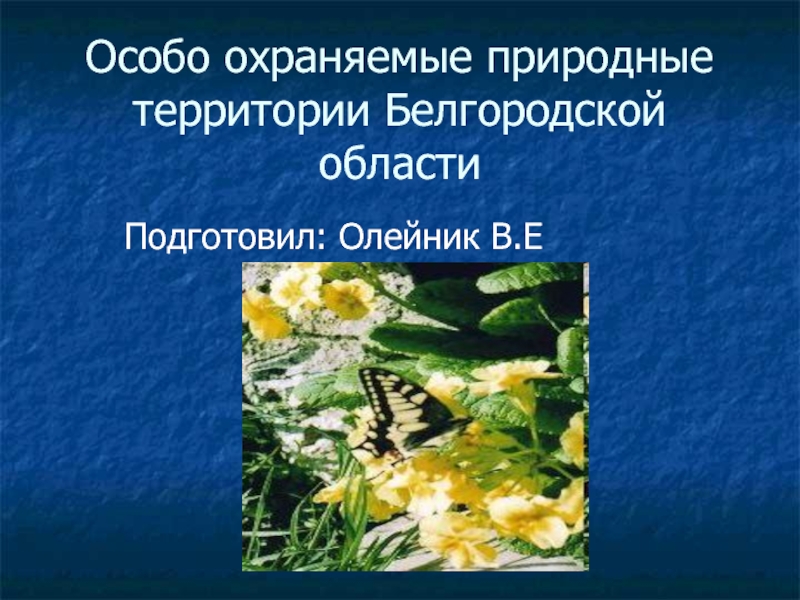 Презентация Особо охраняемые природные территории Белгородской области 3 класс