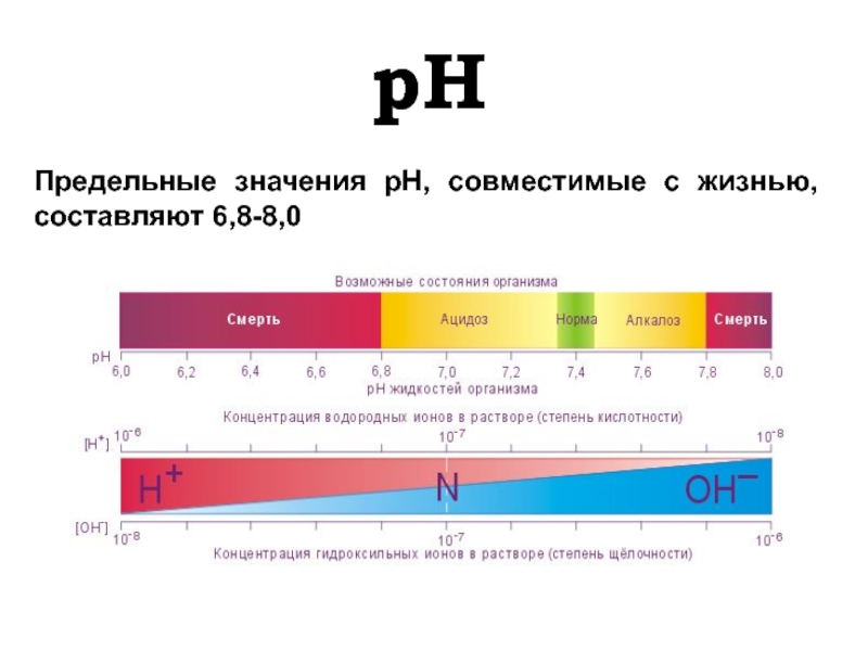 Кислотно основное состояние. Пределы РН совместимые с жизнью. Кислотно основное состояние PH. Алкалоз значение PH. PH мочи при ацидозе.