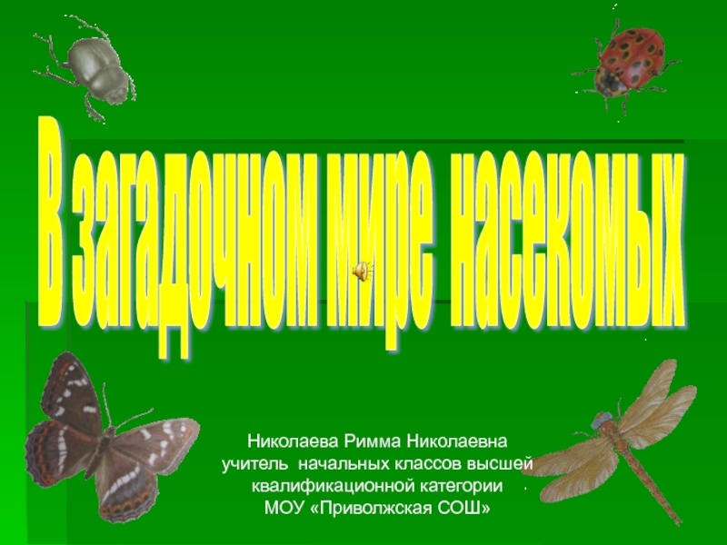 В загадочном мире насекомых 3 класс