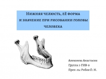 Нижняя челюсть, её форма
и значение при рисовании головы человека
Алексеева