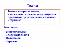 Ткани Типы ткани