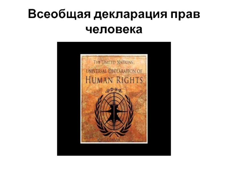 Что ты знаешь о декларации прав человека