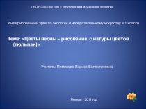 Цветы весны – рисование с натуры цветов (тюльпан) 1 класс