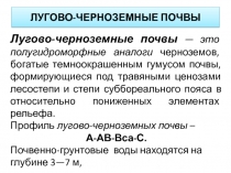 ЛУГОВО-ЧЕРНОЗЕМНЫЕ ПОЧВЫ