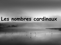 Les nombres cardinaux