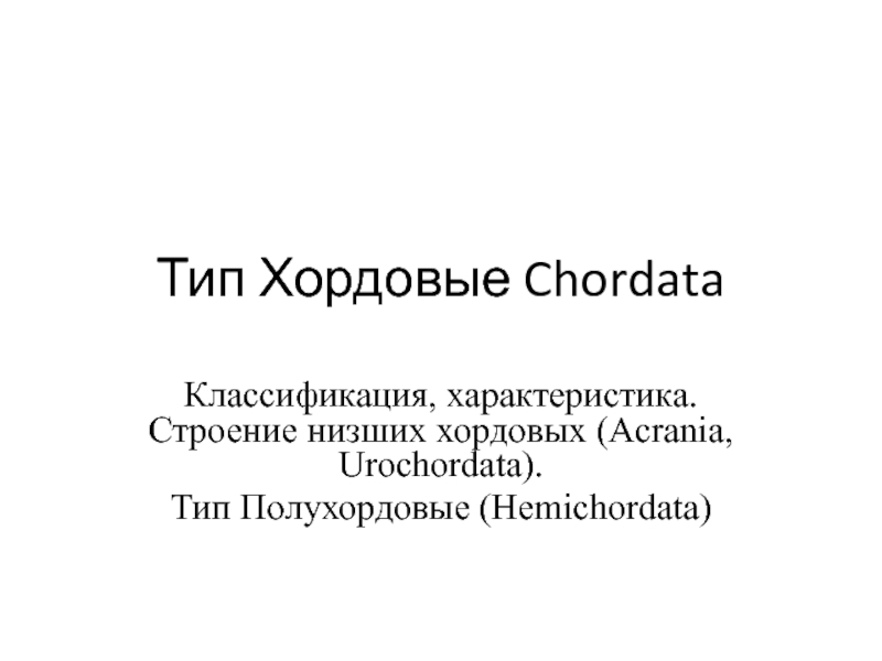 Тип Хордовые Chordata Классификация, характеристика. Строение низших хордовых (Acrania, Urochordata). Тип Полухордовые (Hemichordata)
