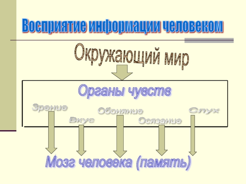 Восприятие человека это окружающий мир