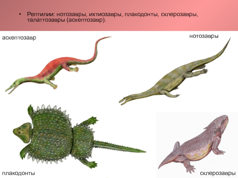 Эпоха рептилий какая