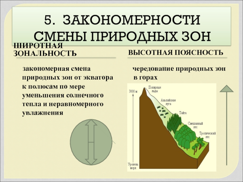 Разнообразие природы земли широтная зональность и высотная поясность 7 класс презентация