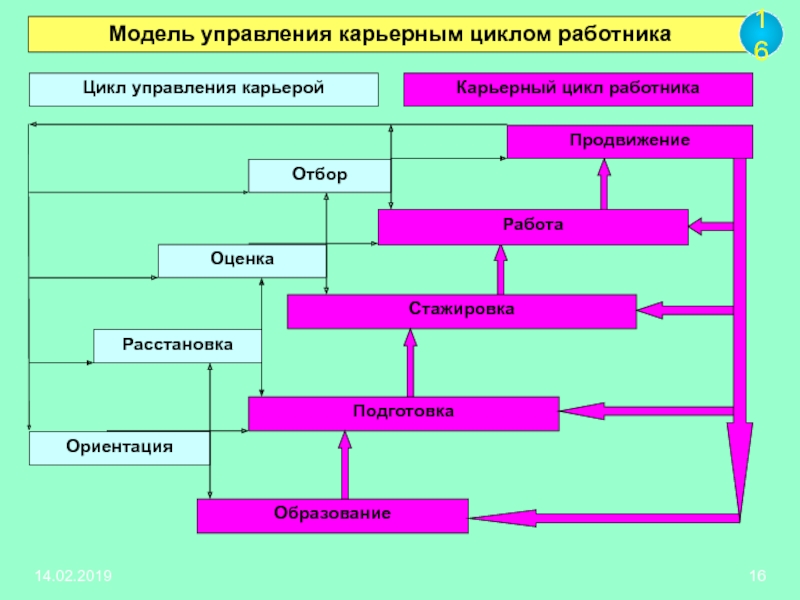 Управление карьерой работника. Цикл управления карьерой. Этапы управления карьерой. Карьерный цикл работника. Модели управления карьерой.