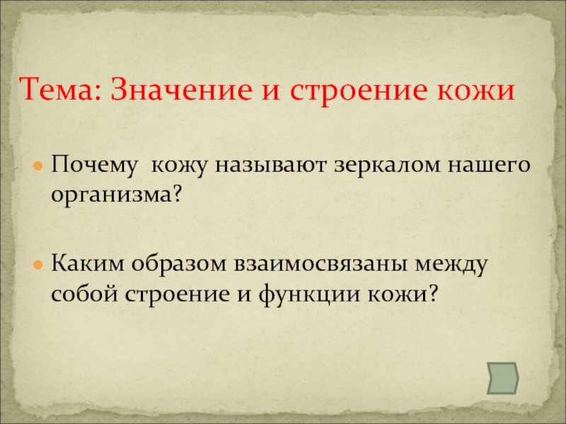 Каким образом взаимосвязаны между собой строение и функции кожи. Почему кожу называют зеркалом нашего организма. Почему кровь называют зеркалом здоровья. Почему кожу называют органом напишите ответ на вопрос.