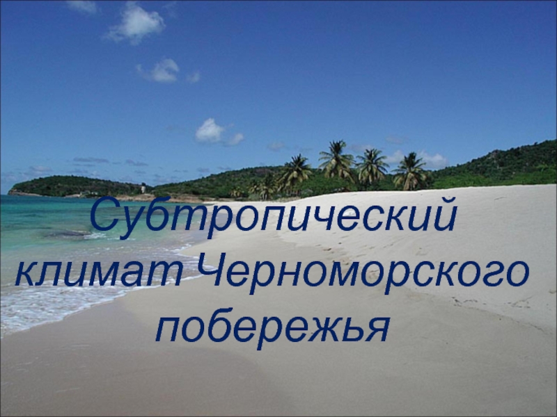 Субтропики на побережье какого моря находится. Климат субтропиков Черноморского побережья. Климат Черноморского побережья. Влажные субтропики побережье черного моря. Климат Черноморья.