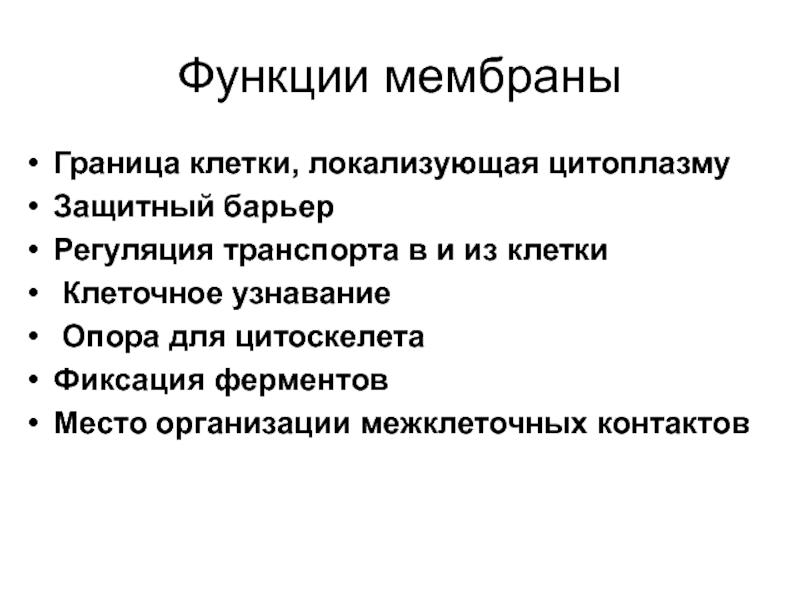 Граница клетки. Функции мембраны. Функции оболочки. Опорная функция мембраны. Границы клетки.