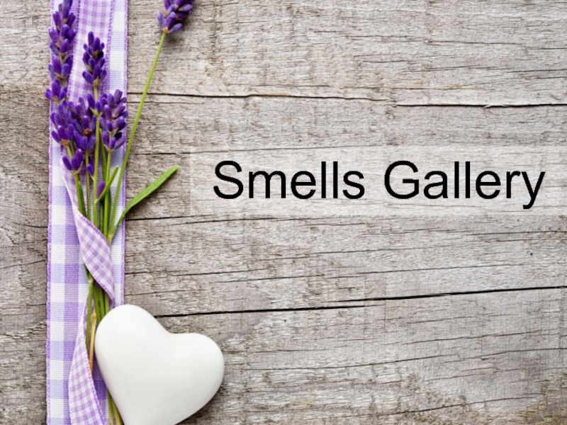 Smells Gallery