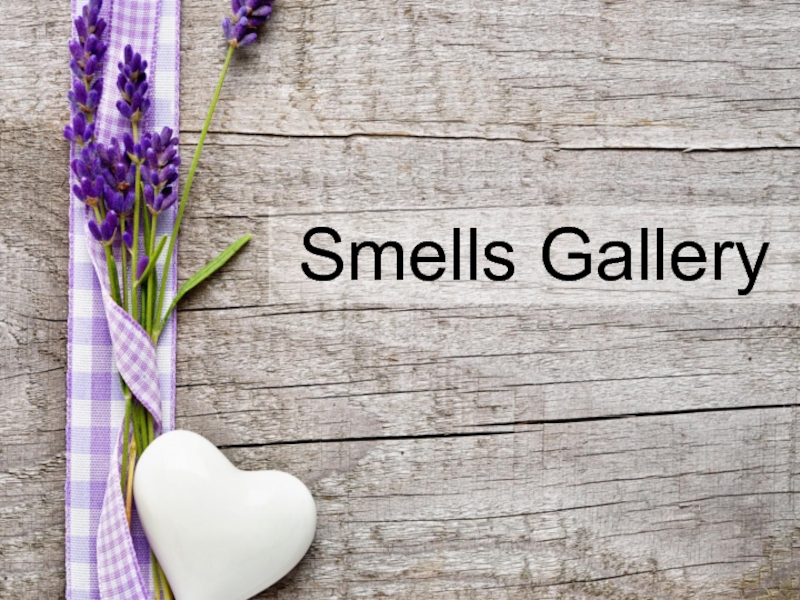 Презентация Smells Gallery