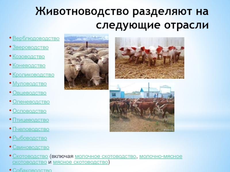 Растениеводство и животноводство 3 класс презентация