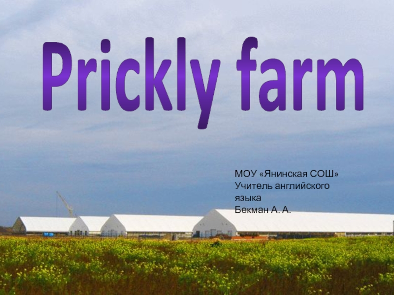 Презентация PRICKLY FARM
