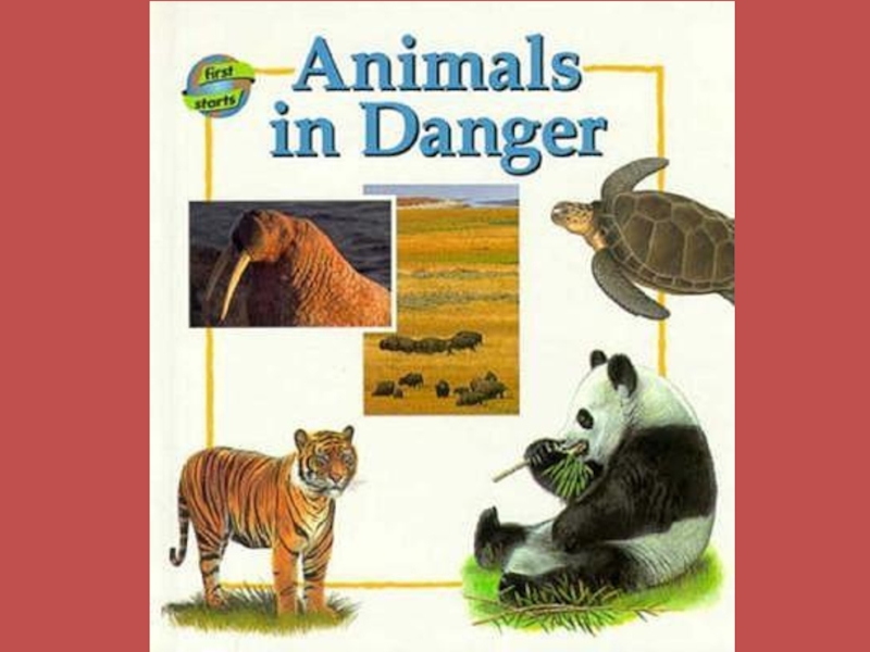 Animals in danger at present. Animals in Danger. Animals are in Danger. The animals. Картинки по теме animals in Danger.