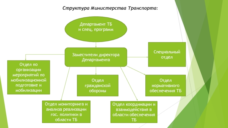 структура министерства транспорта