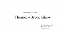 Theme:  Bronchitis
