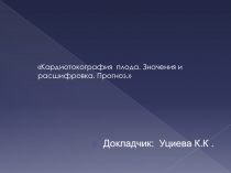 Кардиотокография плода. Значения и расшифровка. Прогноз.