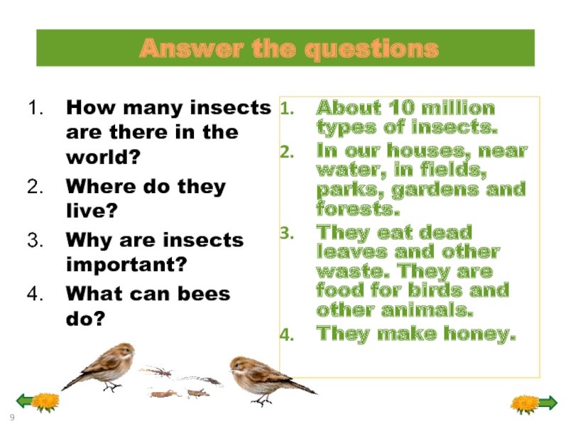 World answer. How many insects are there in the World. What are the insects. Questions and answers. Write what the insects can do.