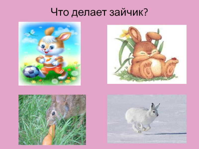 Как говорят зайчики. Делаем зайчика. Иллюстрация что делает Зайка. Заяц что делает. Делаем зайца с детьми.