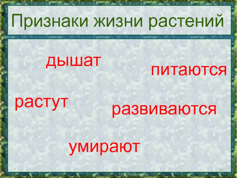 Окружающий 3 класс размножение и развитие растений. Размножение и развитие растений. Развитие растений 3 класс. Размножение и развитие р. Размножение и развитие растений 3 класс презентация.