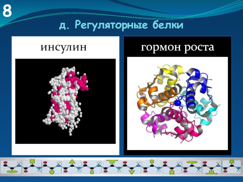 Белки инсулин