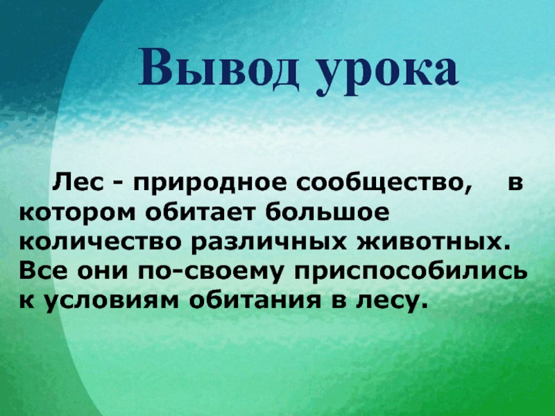 Вывел леса. Выводы по уроку. Вывод урока. Вывод лес-природное сообщество. Природное сообщество вывод.