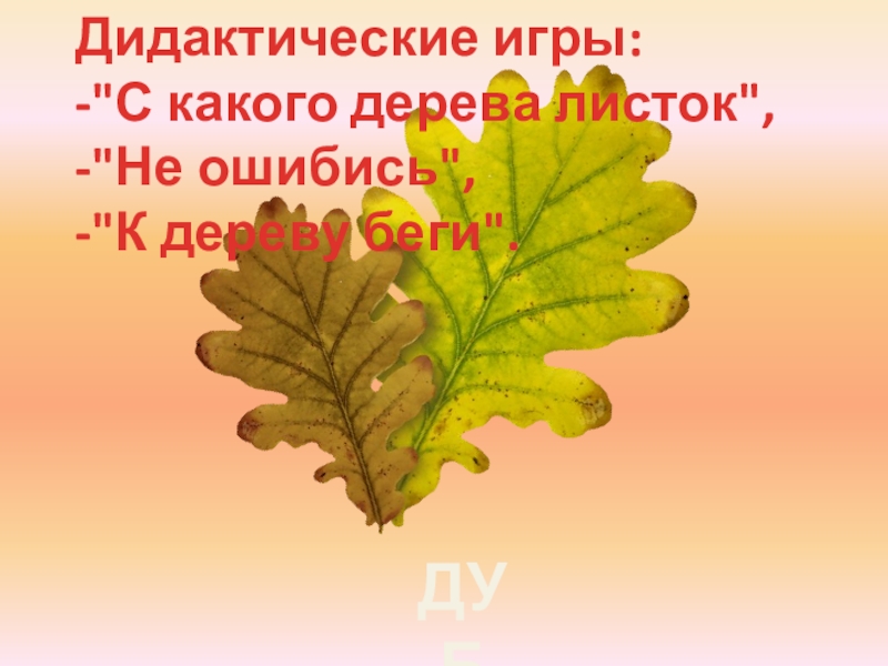 Листок эпитеты. С какого дерева листок дуб. С какого дерева листок презентация. Сказка про дубовый листочек. Листики дуба мы соберем.