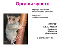 Органы чувств