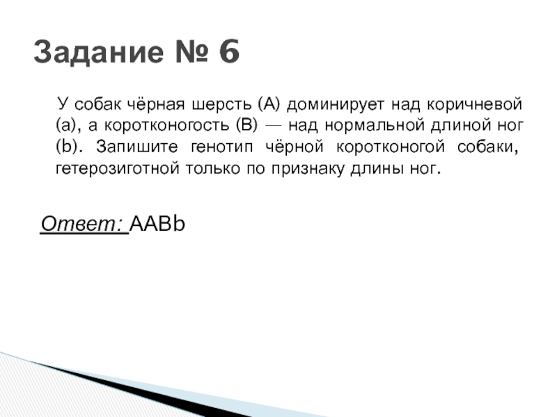 У собак черный цвет шерсти доминирует. У собак черная шерсть доминирует над коричневой. У собак черная шерсть доминирует над коричневой а коротконогость. У собак короткая шерсть доминирует над длинной. У собак черный цвет шерсти доминирует над коричневым каков генотип.