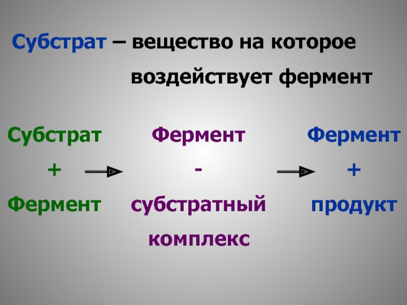 Ферменты воздействуют на