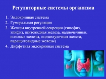 Эндокринная система