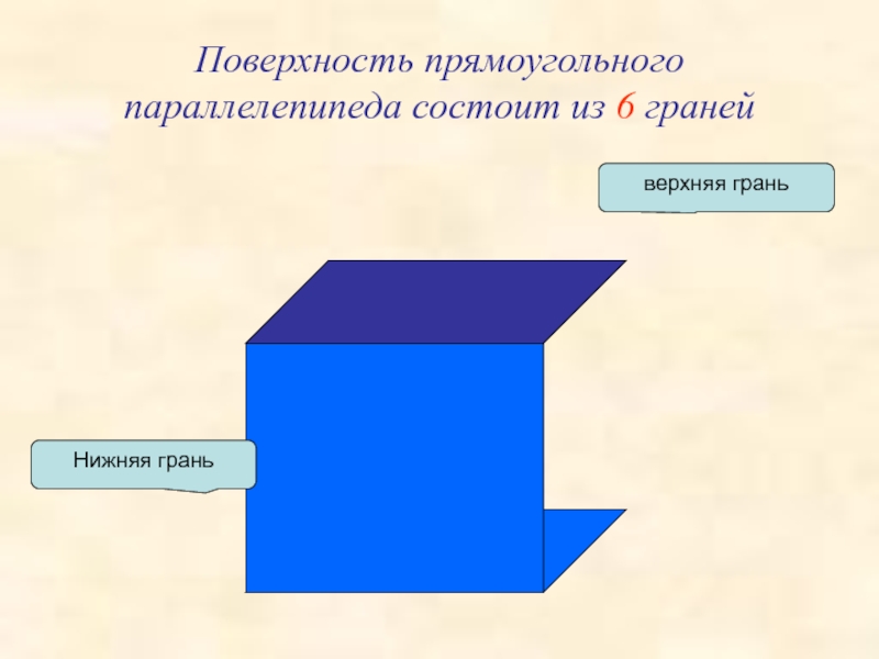 Площадь нижней грани прямоугольного параллелепипеда равна 800. Верхняя грань параллелепипеда. Поверхность прямоугольного параллелепипеда состоит из. Из чего состоит поверхность прямоугольного параллелепипеда. Верхняя грань прямоугольника.